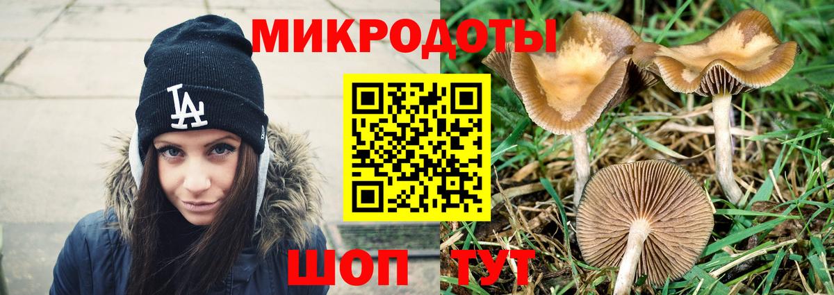 Галлюциногенные грибы GOLDEN TEACHER  Вход с VPN  Вязники 